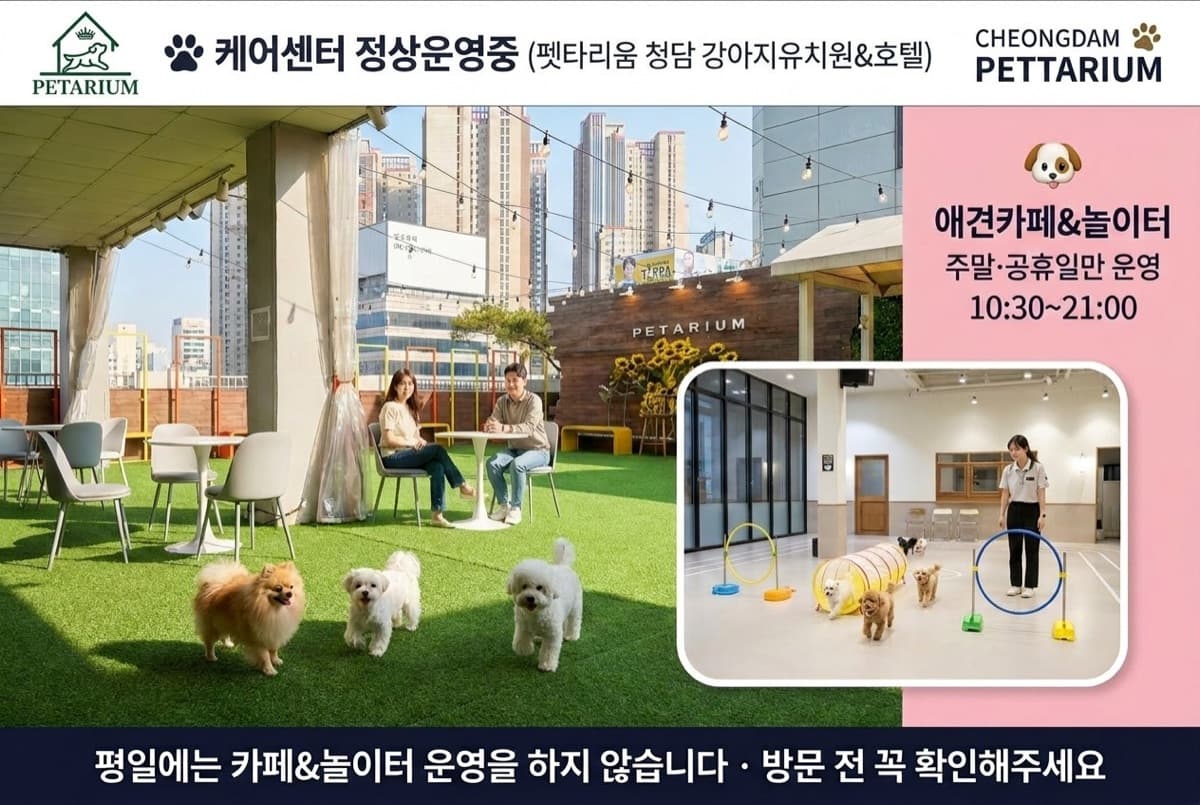 삼성동 등대 매장 사진